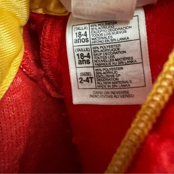 Winnie The Pooh Disneyland Sherpa Outfit Size Kids 2-4T - Picture 8 of 12